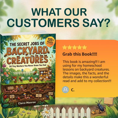 The Secret Jobs of Backyard Creatures